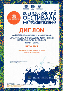 Диплом за внесение существенного вклада в организацию и проведение мероприятия Всероссийского фестиваля #Вместеярче